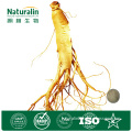 Wild Gingseng Root Powder 100% Natural for Reduce The Effects of Stress